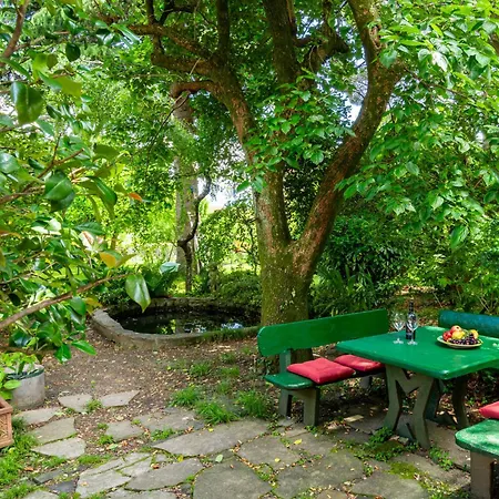 Angela By Interhome 公寓 东戈